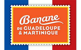 Bananes de Guadeloupe et de Martinique